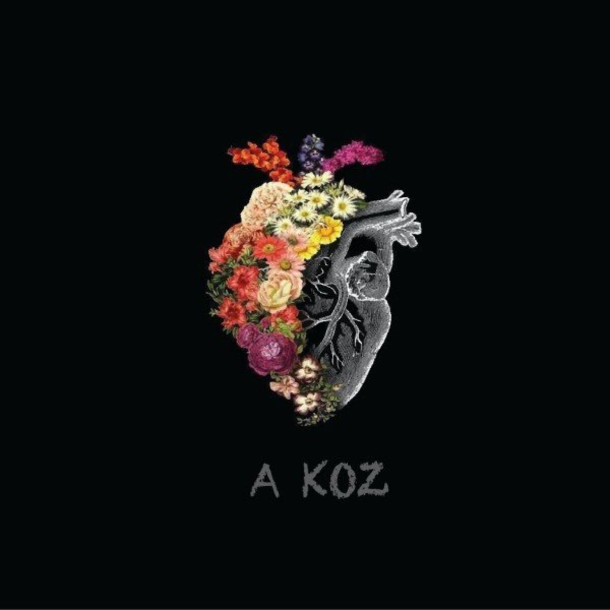 Album cover of A koz