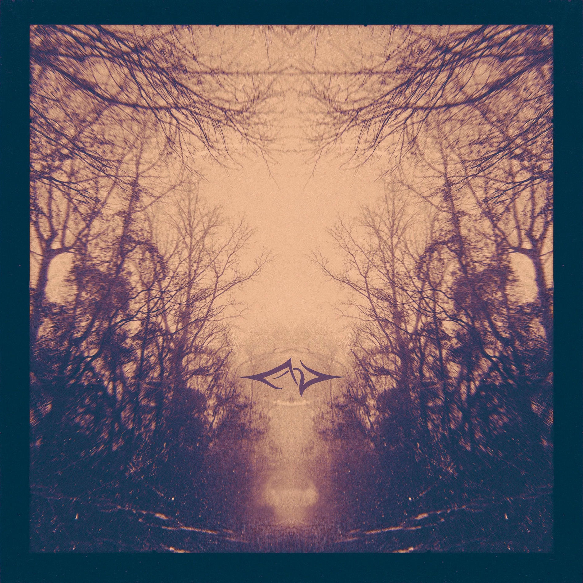 Album cover of Hiemal