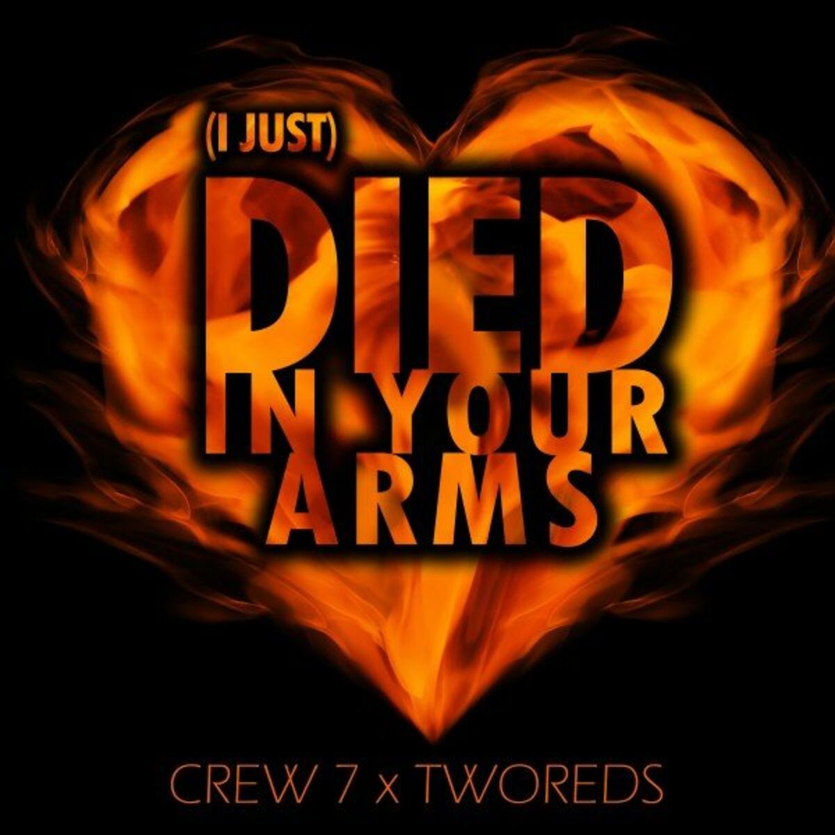 Album cover of (I Just) Died in Your Arms Tonight