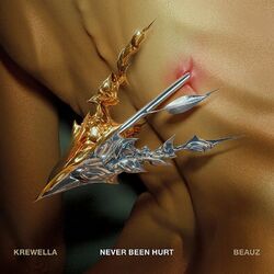 Cover of Never Been Hurt