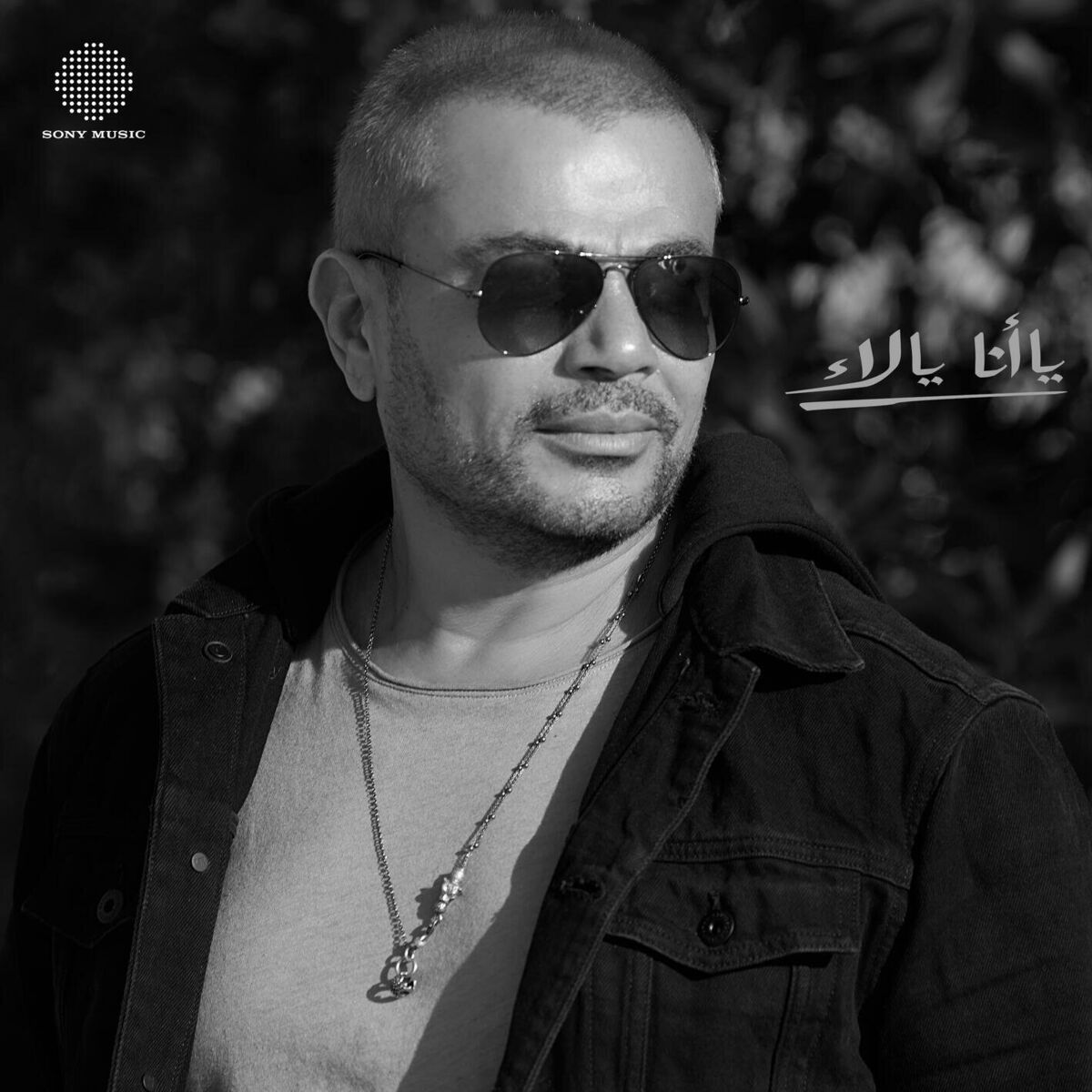 Album cover of Ya Ana Ya La