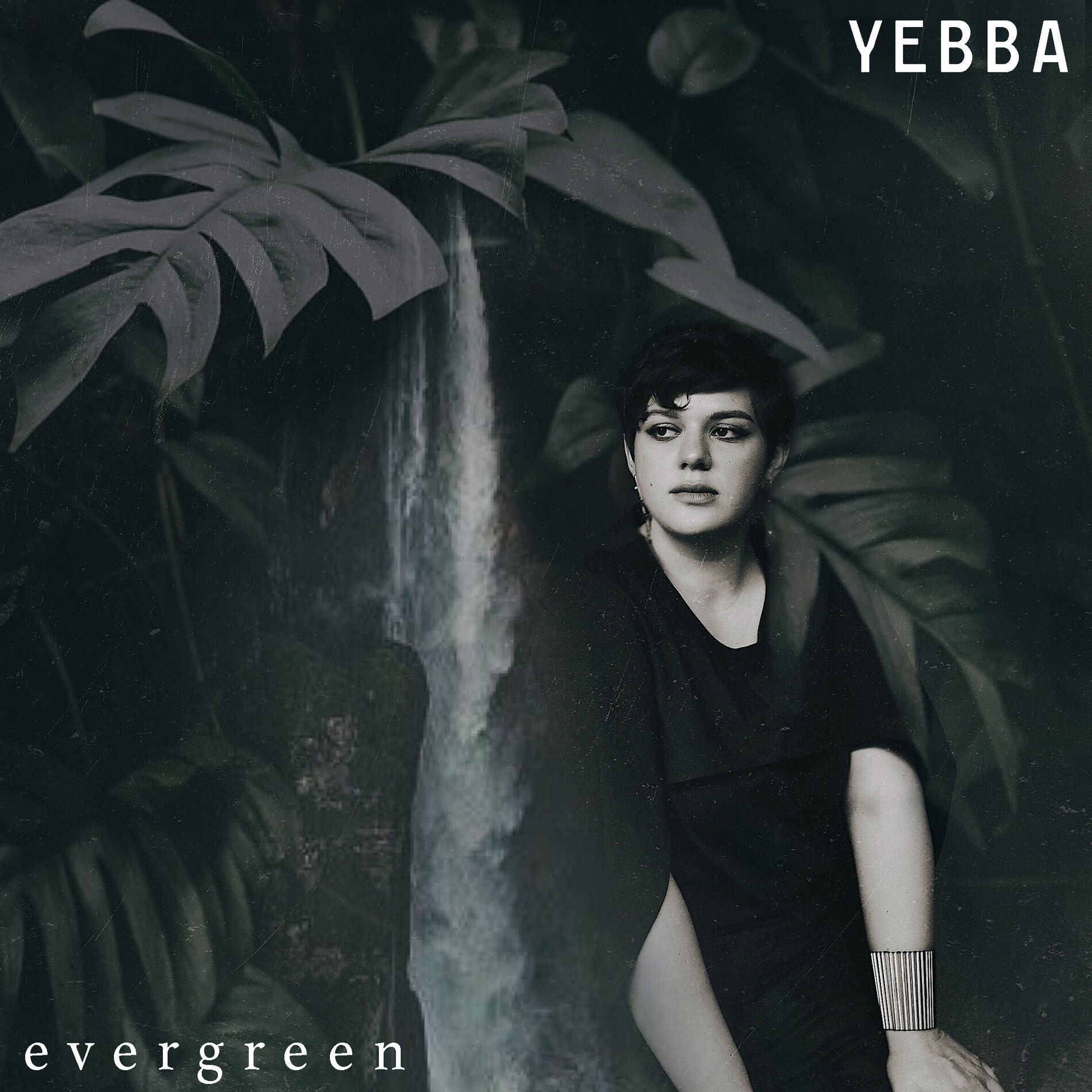 Album cover of Evergreen