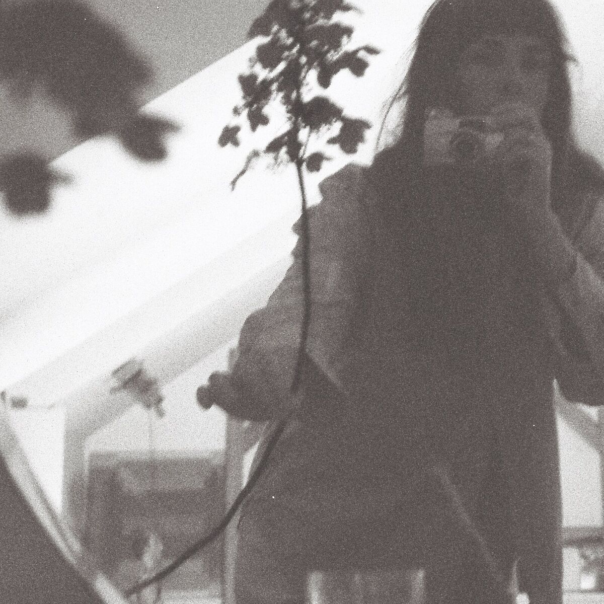 Album cover of Passenger (Demo)
