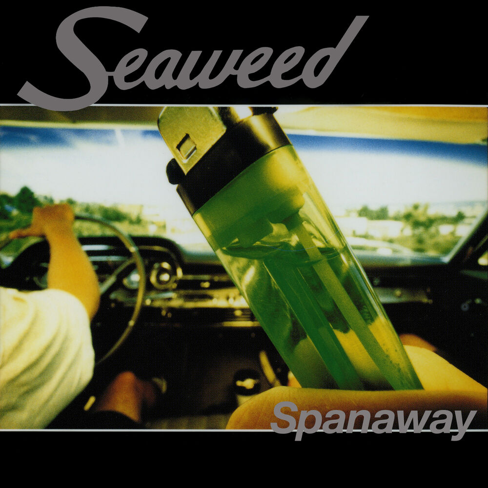 Picture of Spanaway