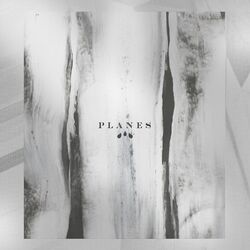 Cover of Planes