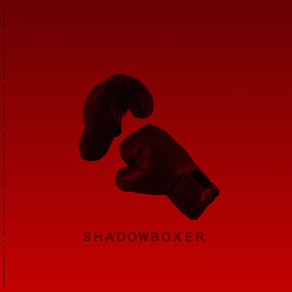 Album cover of SHADOWBOXER