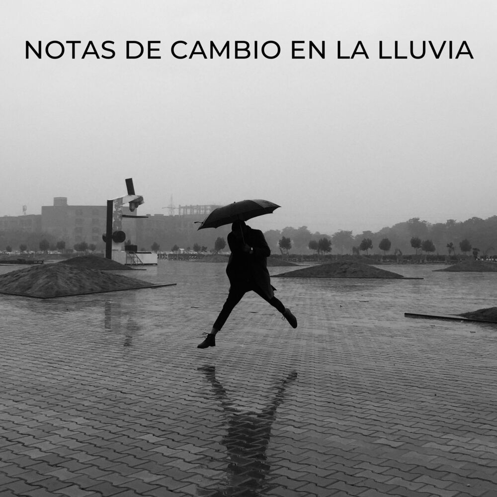 Picture of Notas De Cambio En La Lluvia