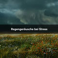 Regenger&auml;usche bei Stress (Achtsamkeit mit sanften Regenger&auml;uschen)