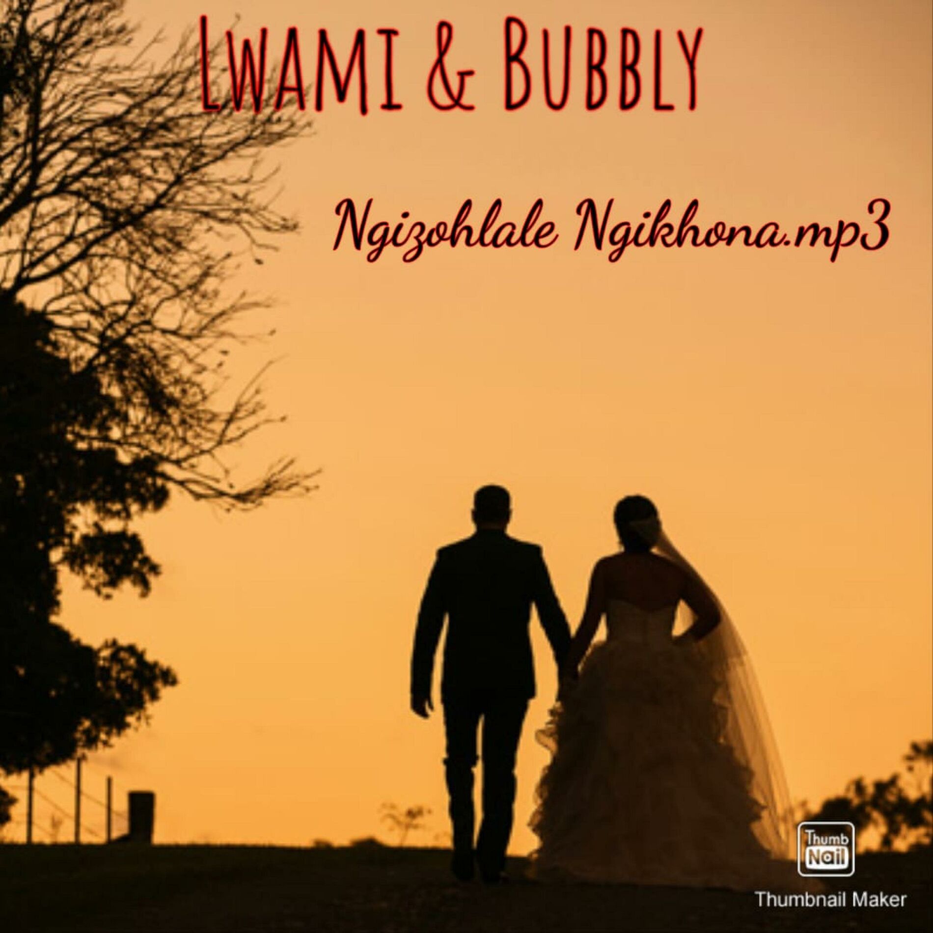 Album cover of Ngizohlale Ngikhona (feat. Lwami & Bubbly) [Radio Edit]