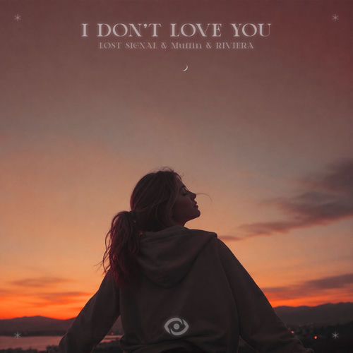 I Don't Love You