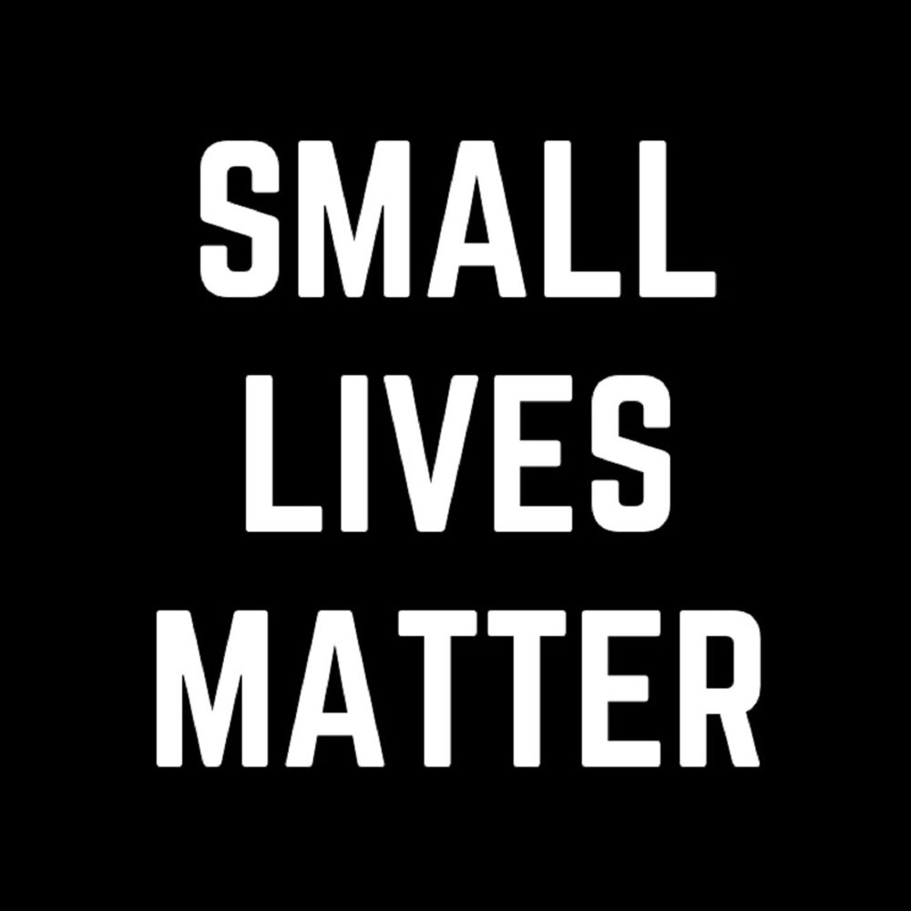 Picture of Small Lives Matter