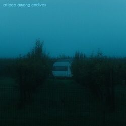 Cover of Asleep Among Endives