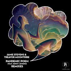 Cover of Pandemic Poem Remixes