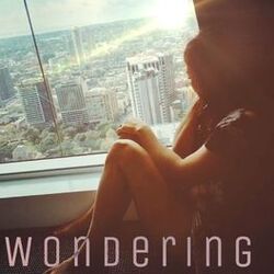 Cover of Wondering