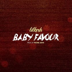 Cover of Baby Favour
