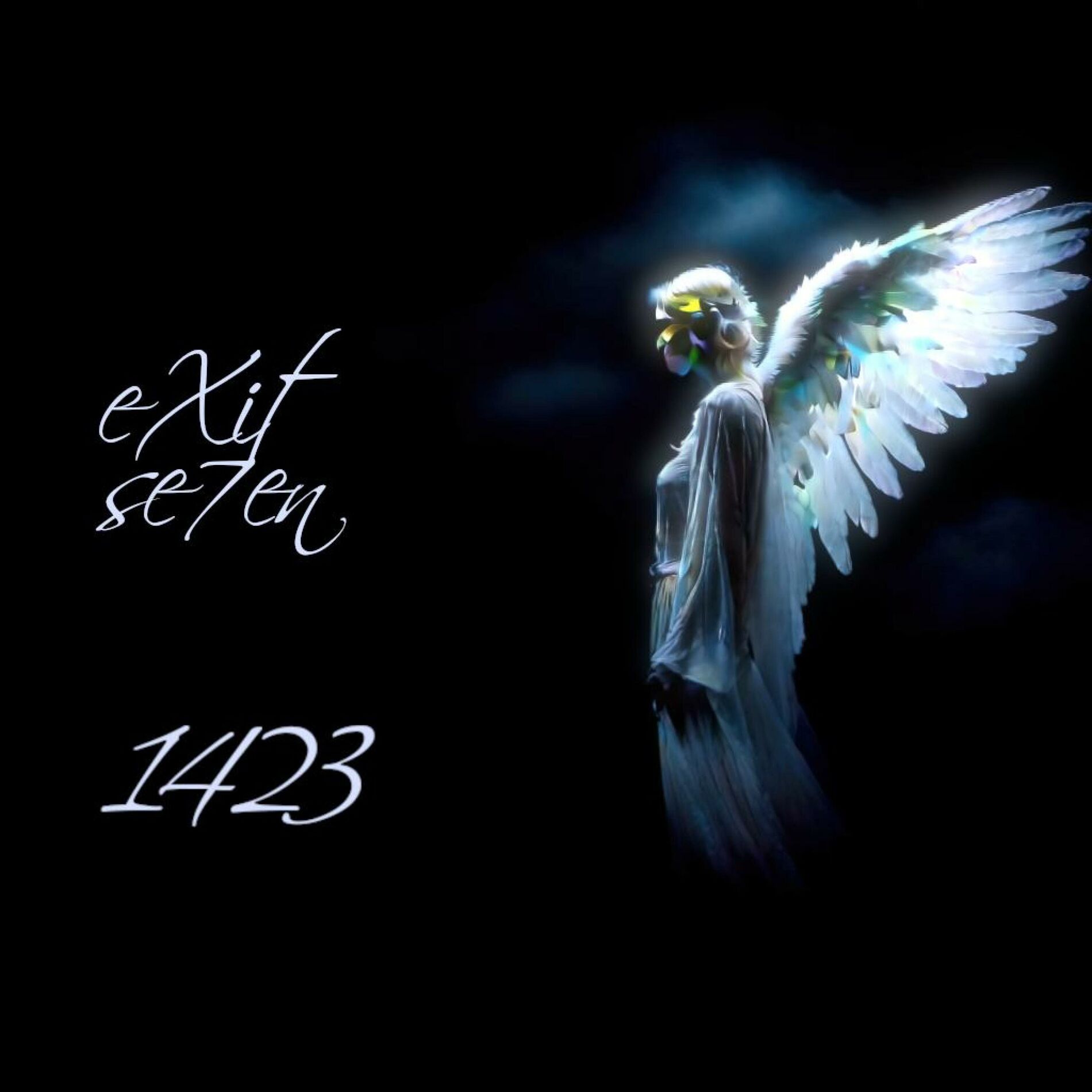 Album cover of 1423