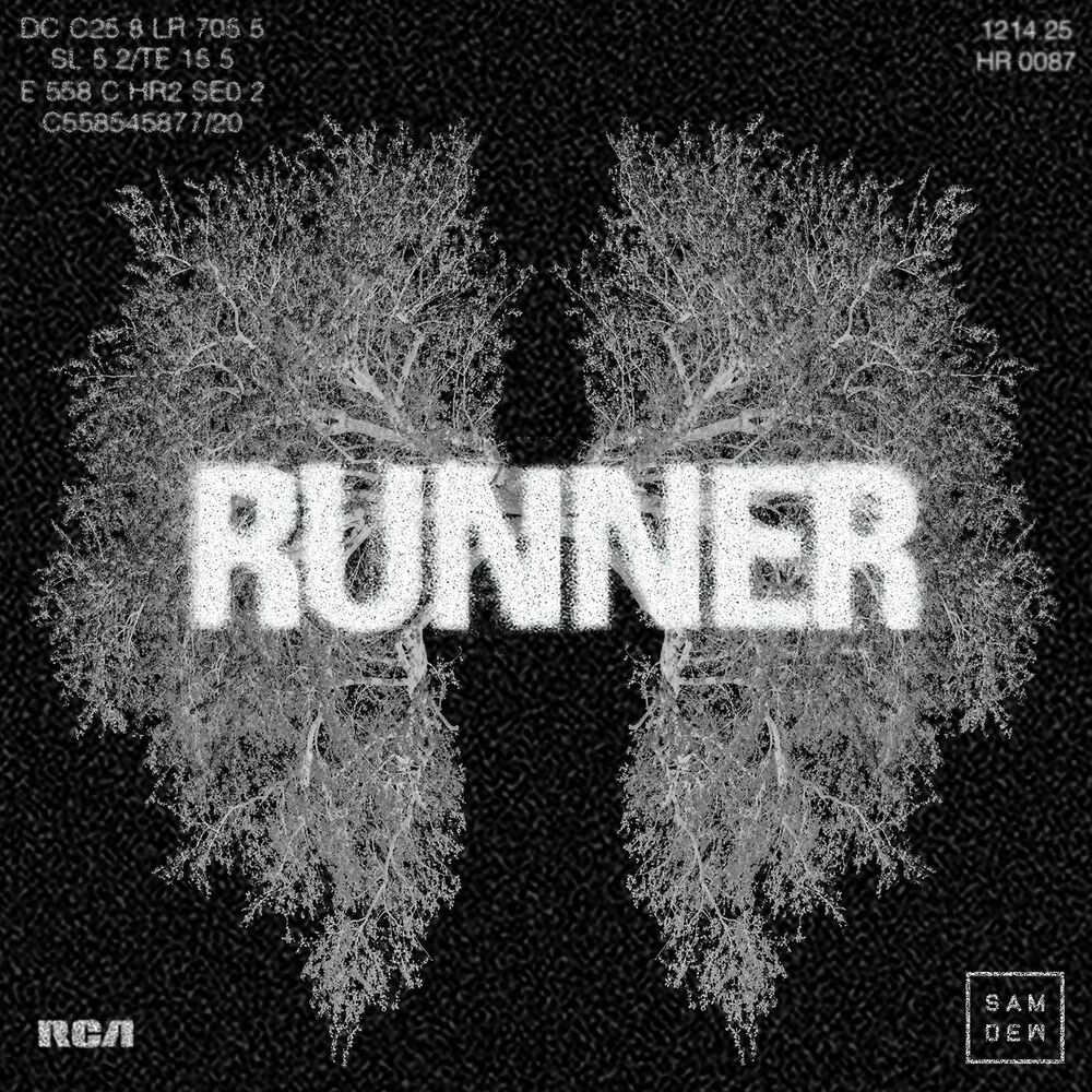 Picture of Runner