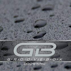Cover of Drowning