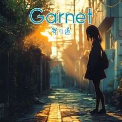 Cover of 寄り道