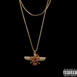 Cover of I Got It