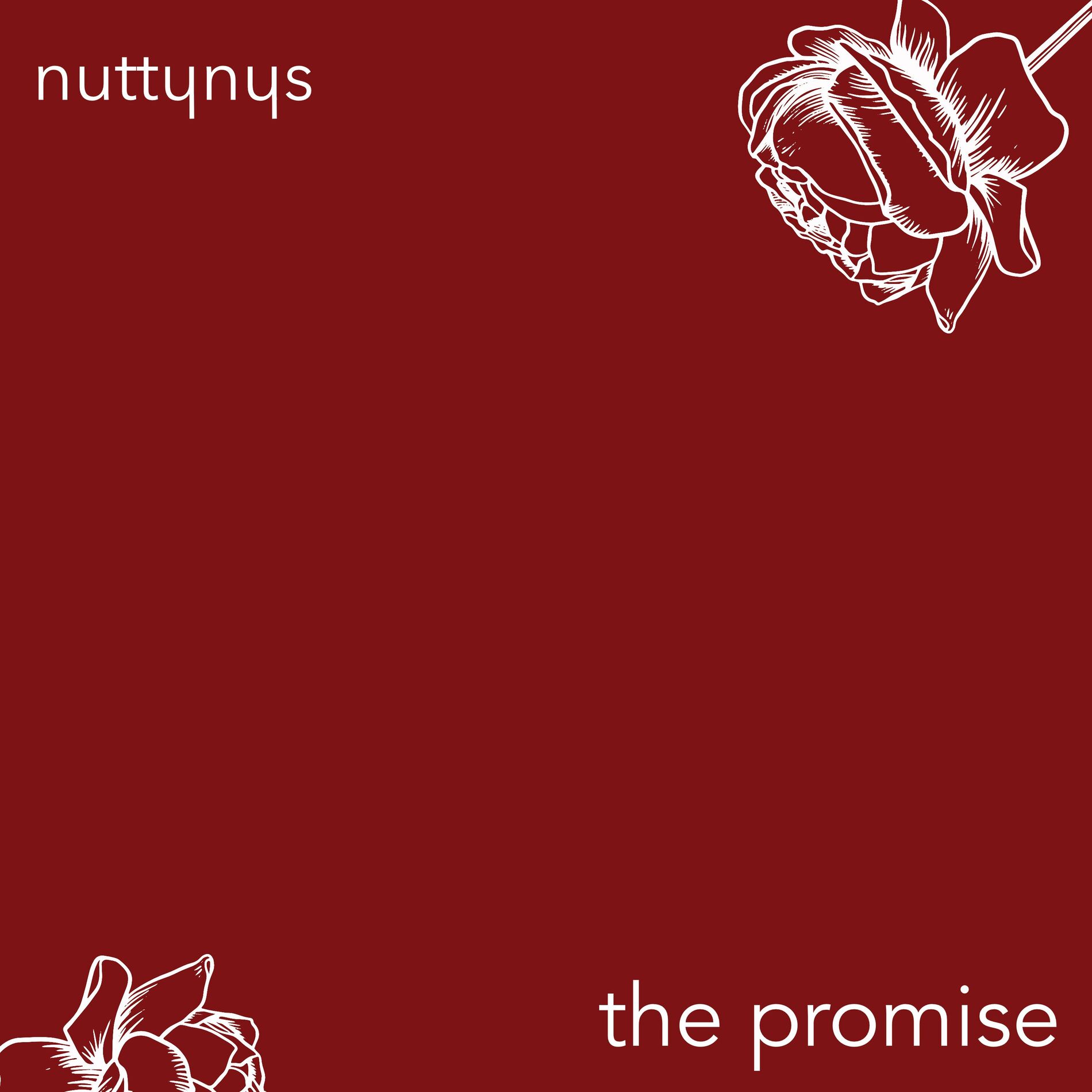 Album cover of The Promise