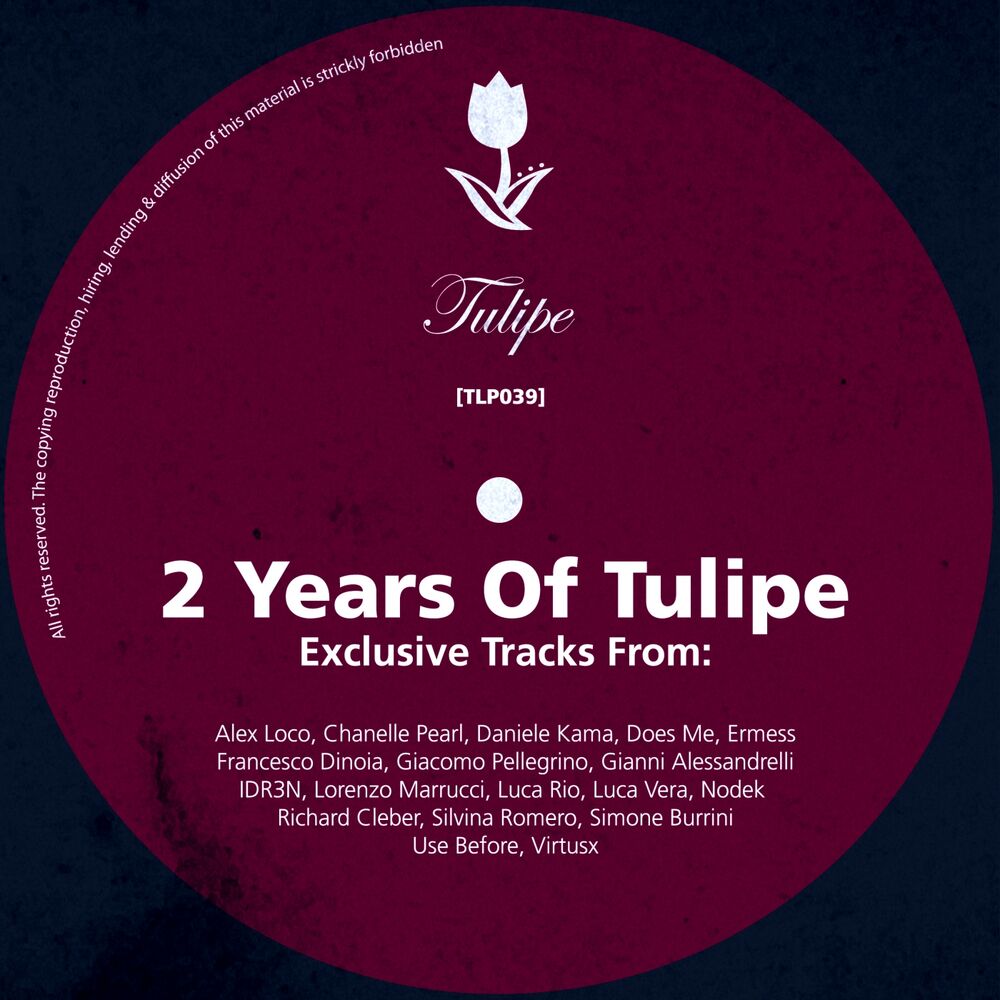 Picture of Two Years Of Tulipe