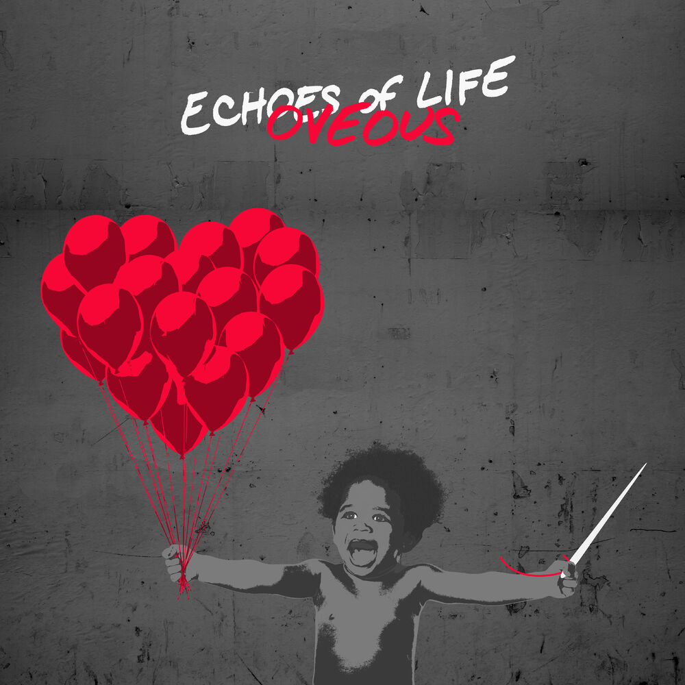 Picture of Echoes of Life