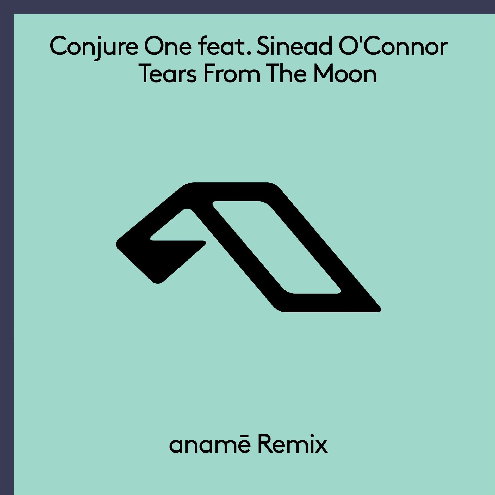 Album cover of Tears From The Moon