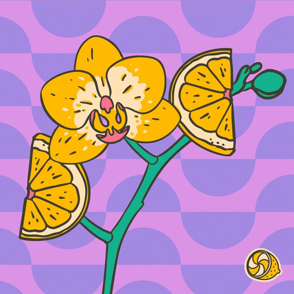 Picture of Orchids Growing