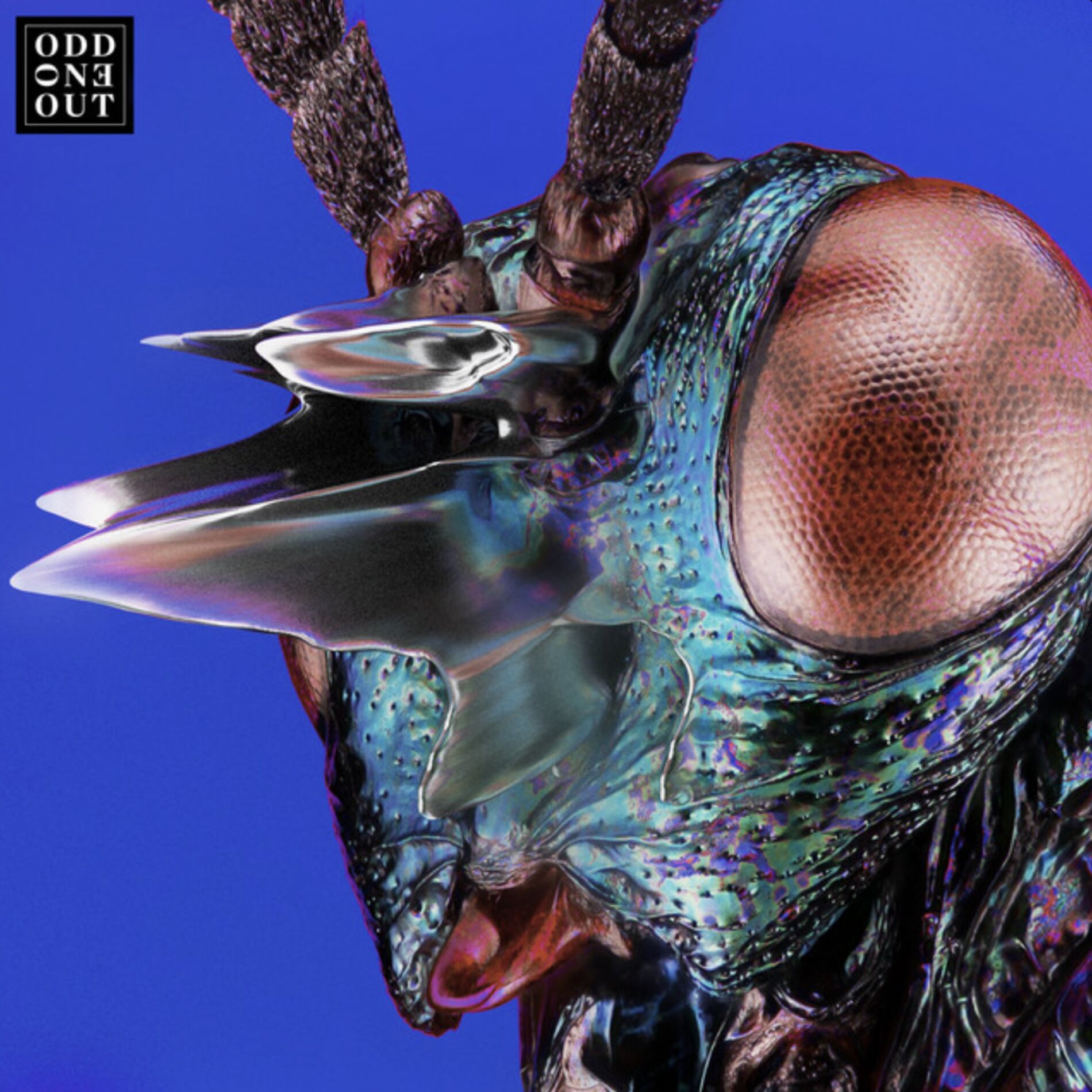 Album cover of Nova