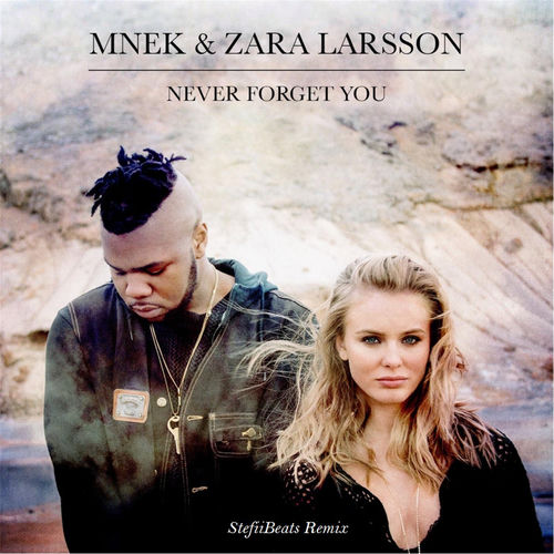 Never Forget You (Mnek vs. Zara Larsson) [Stefiibeats Remix