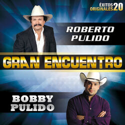 Cover of Gran Encuentro (20 Éxitos Originales)