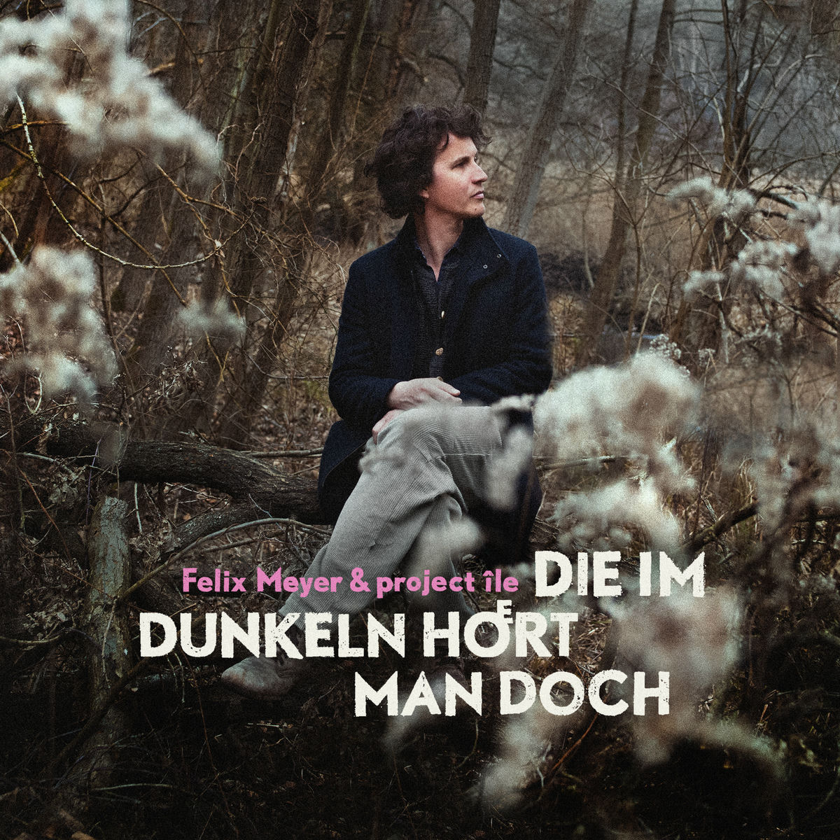 Album cover of Die im Dunkeln hoert man doch