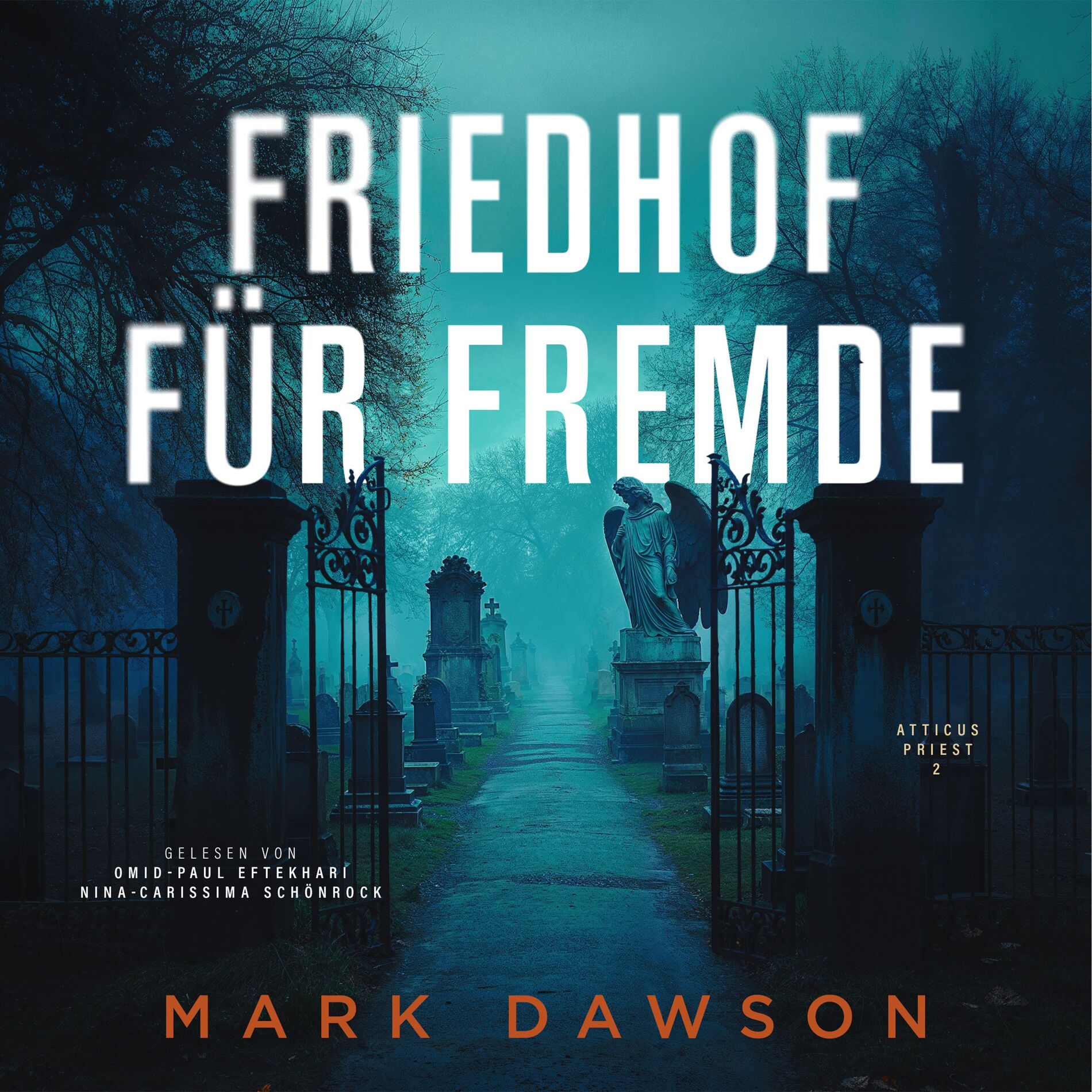 Album cover of Kapitel 43 - Friedhof für Fremde - Krimi Hörbuch