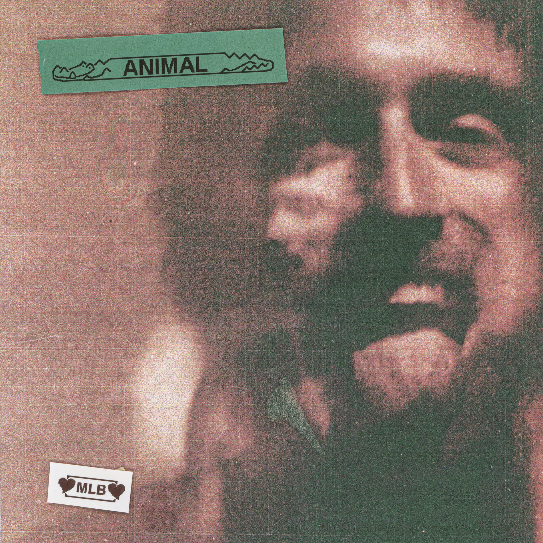 Album cover of animal