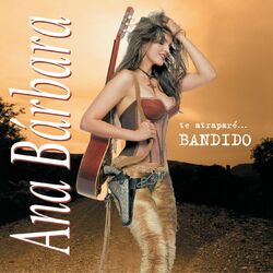 Cover of Te Atraparé Bandido