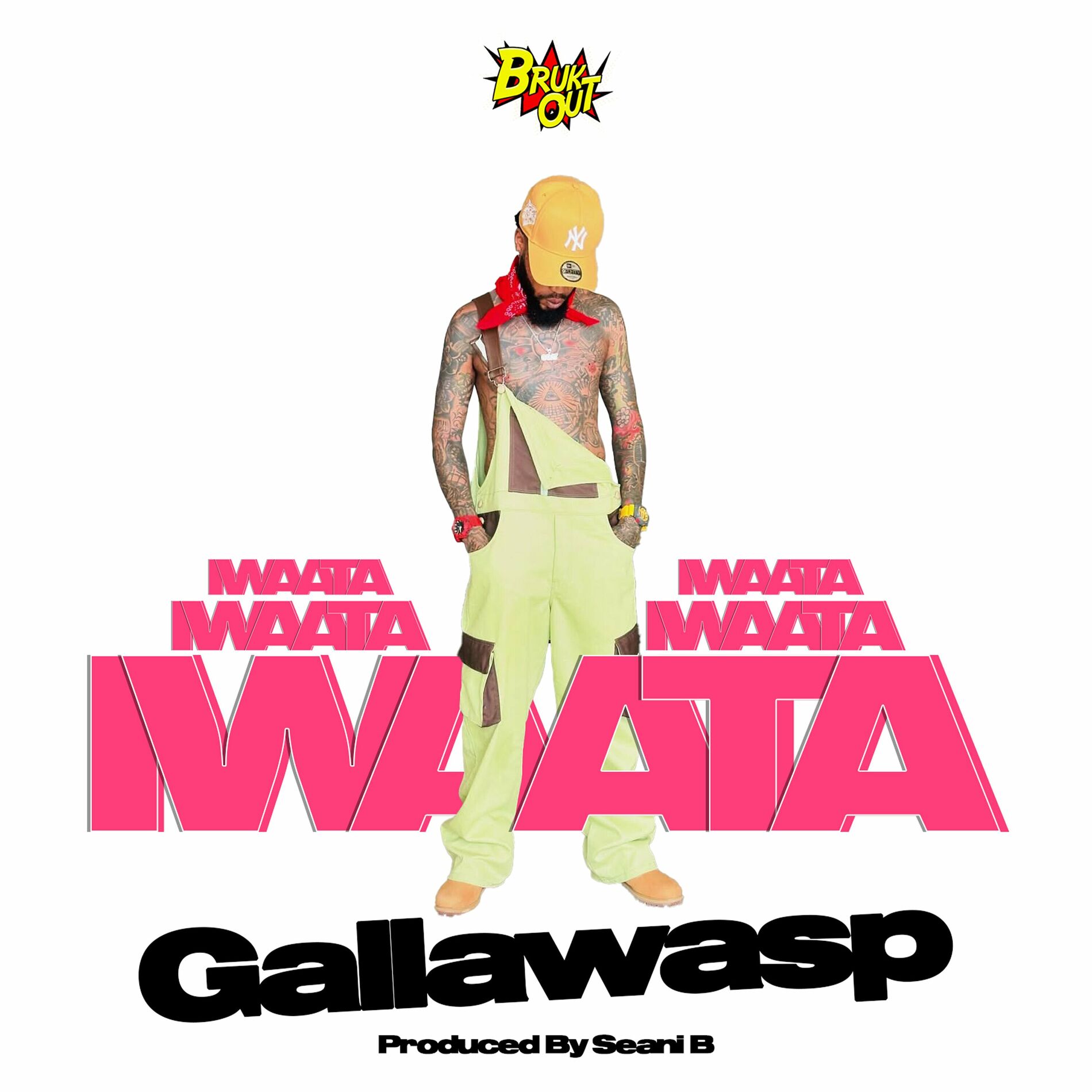 Album cover of Gallawasp