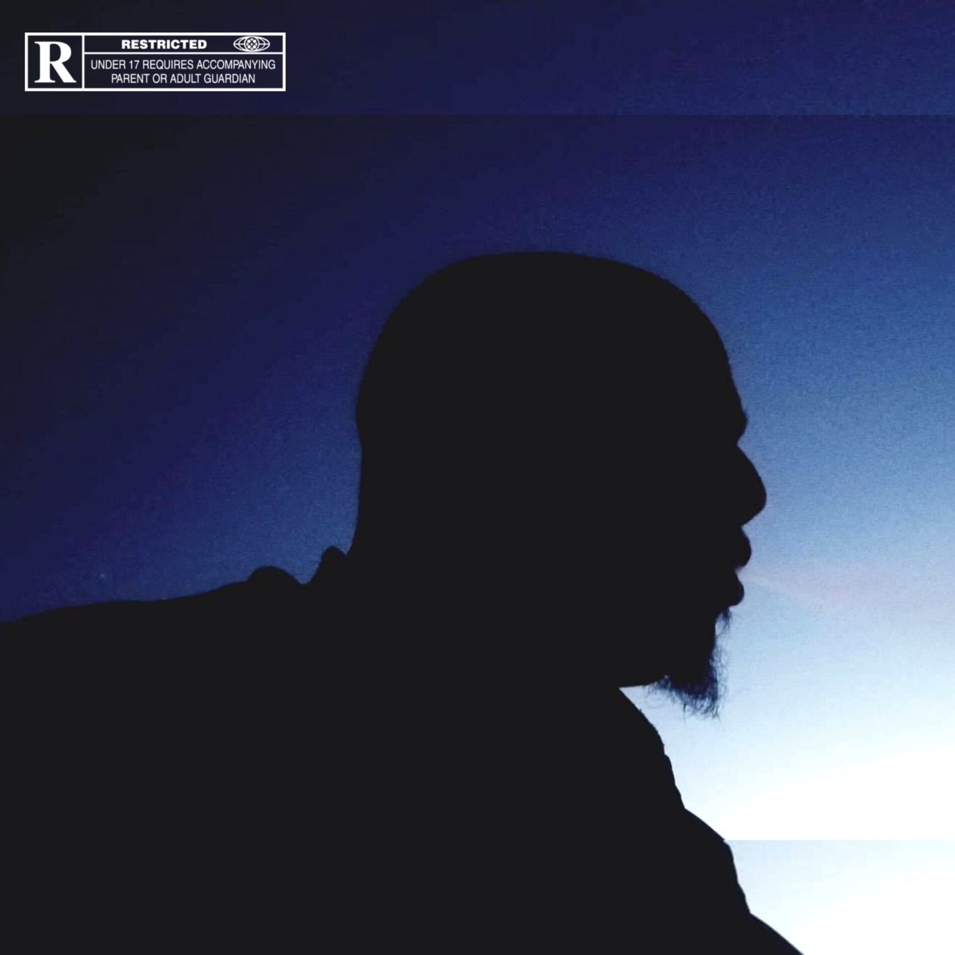 Album cover of Endless Pain