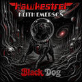 Black Dog