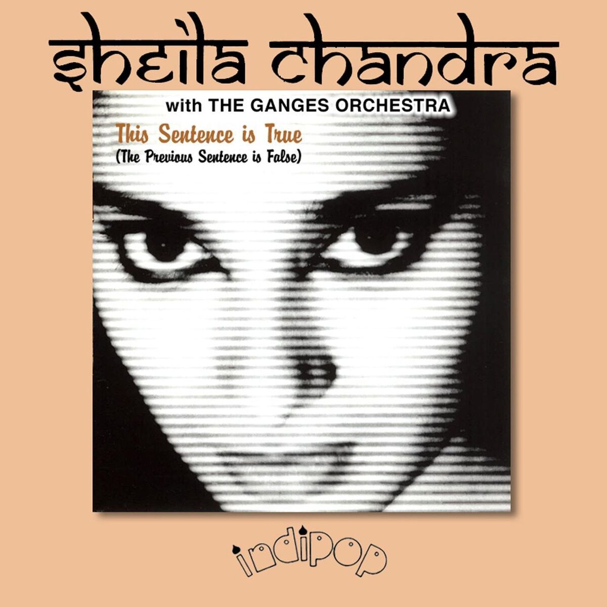 Album cover of This Sentence Is True (The Previous Sentence Is False)
