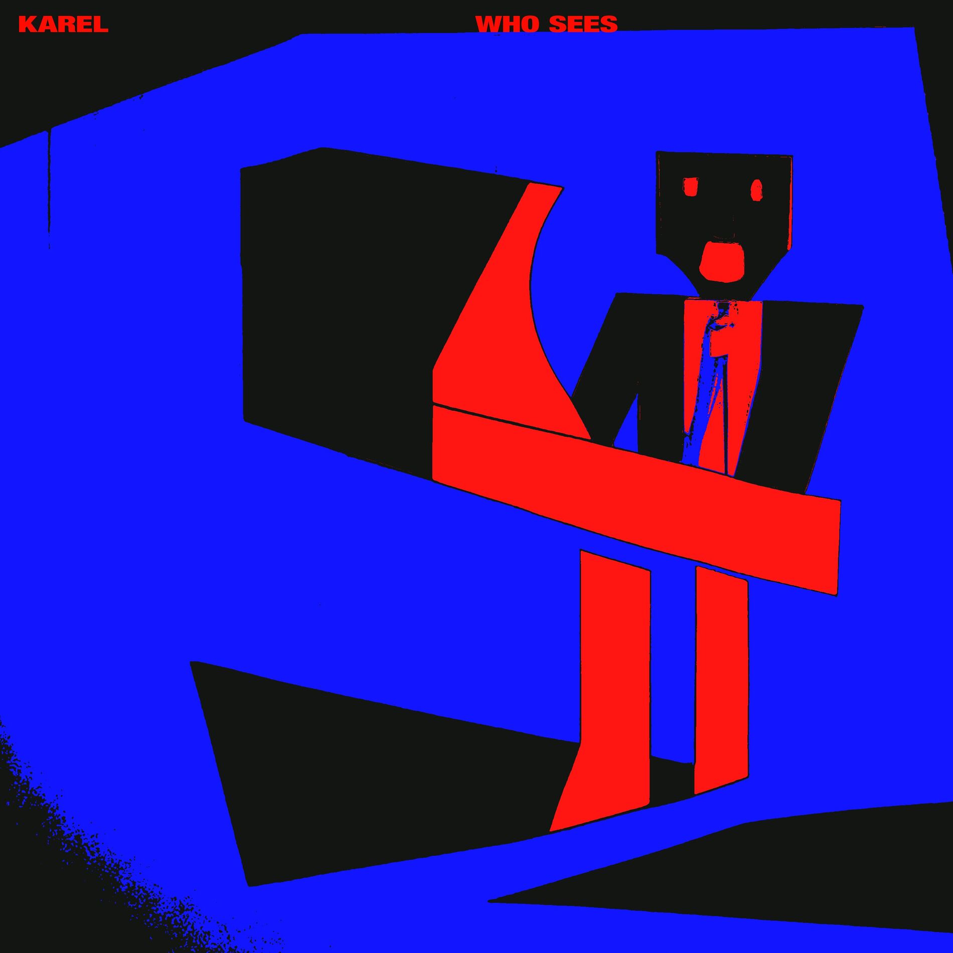 Album cover of Who Sees