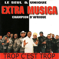 Cover of Trop c'est trop