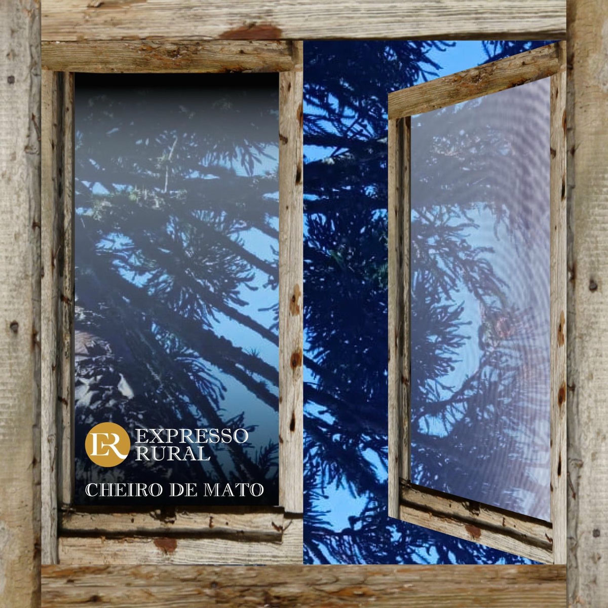 Album cover of Cheiro De Mato
