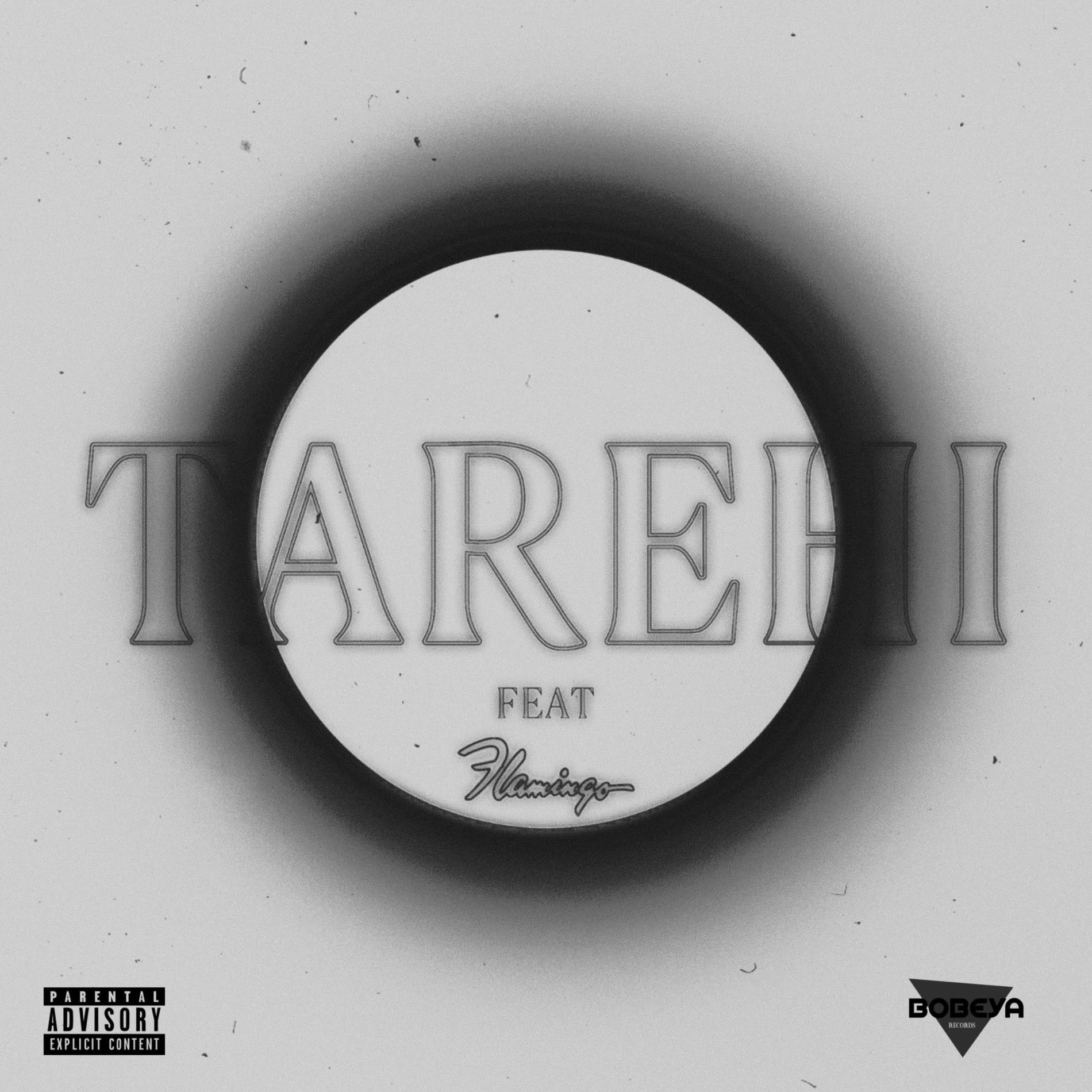 Album cover of Tarehi (feat. Flamingo)