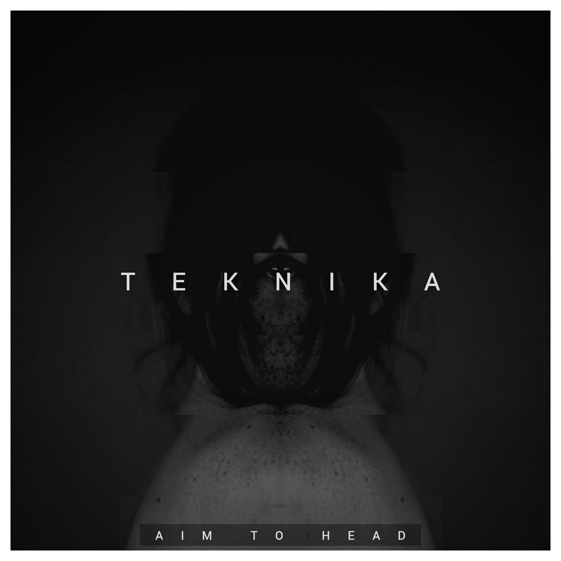Album cover of Teknika