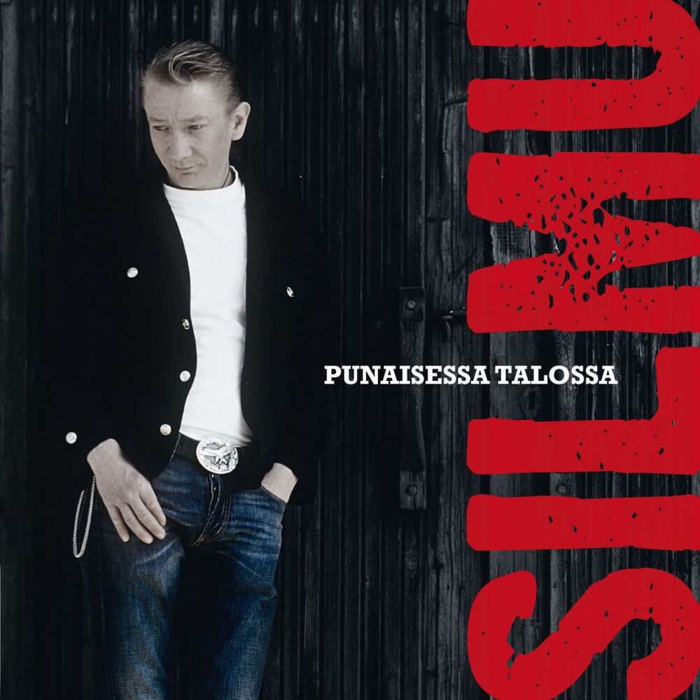 Picture of Punaisessa talossa