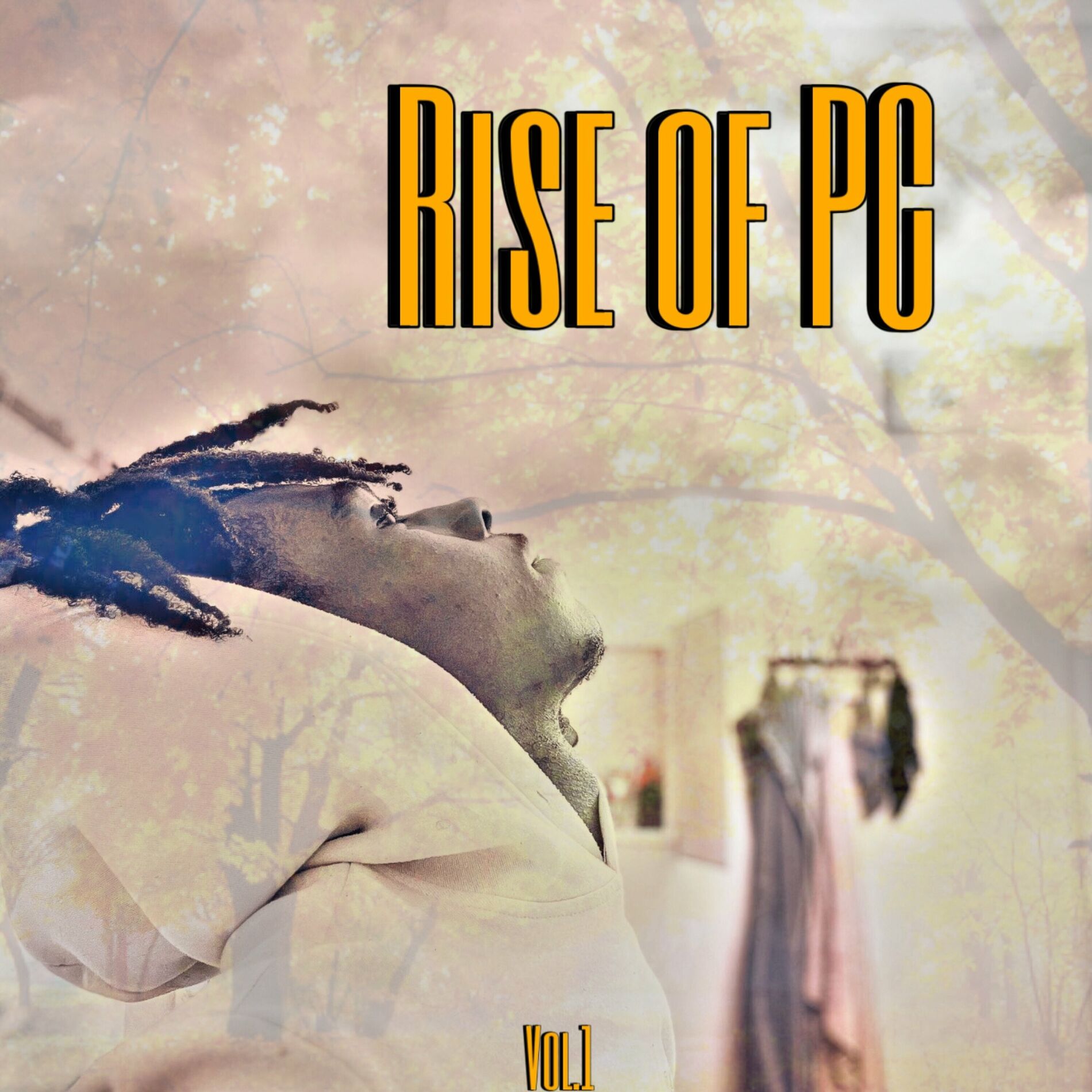 Album cover of Rise of Pc