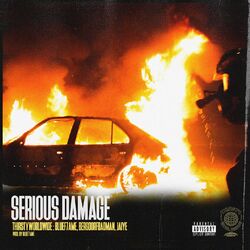 Cover of Serious Damage