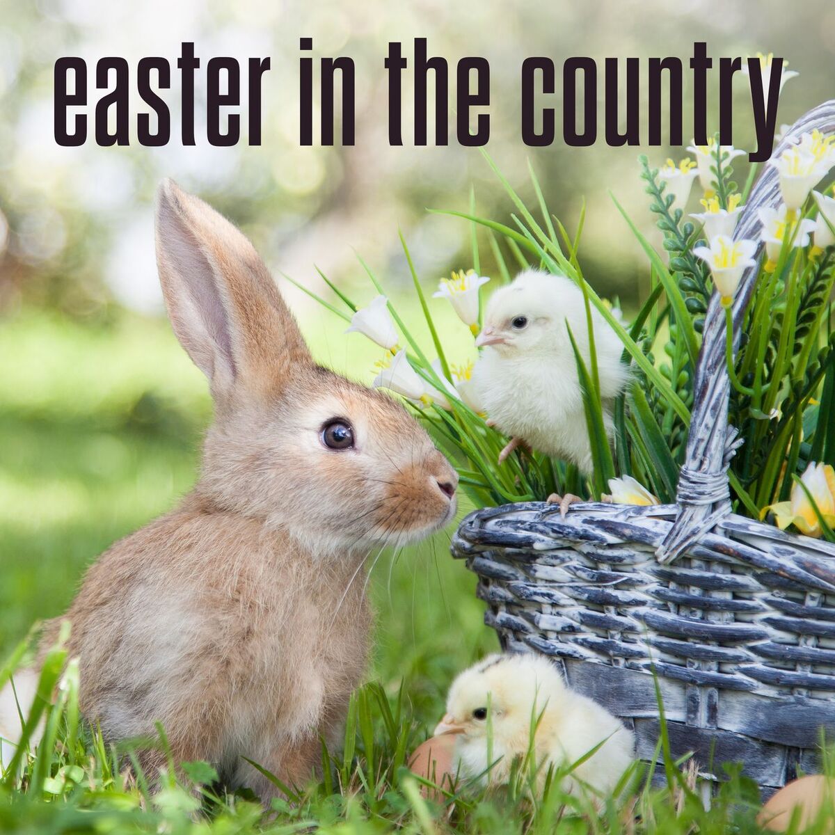 Album cover of easter in the country