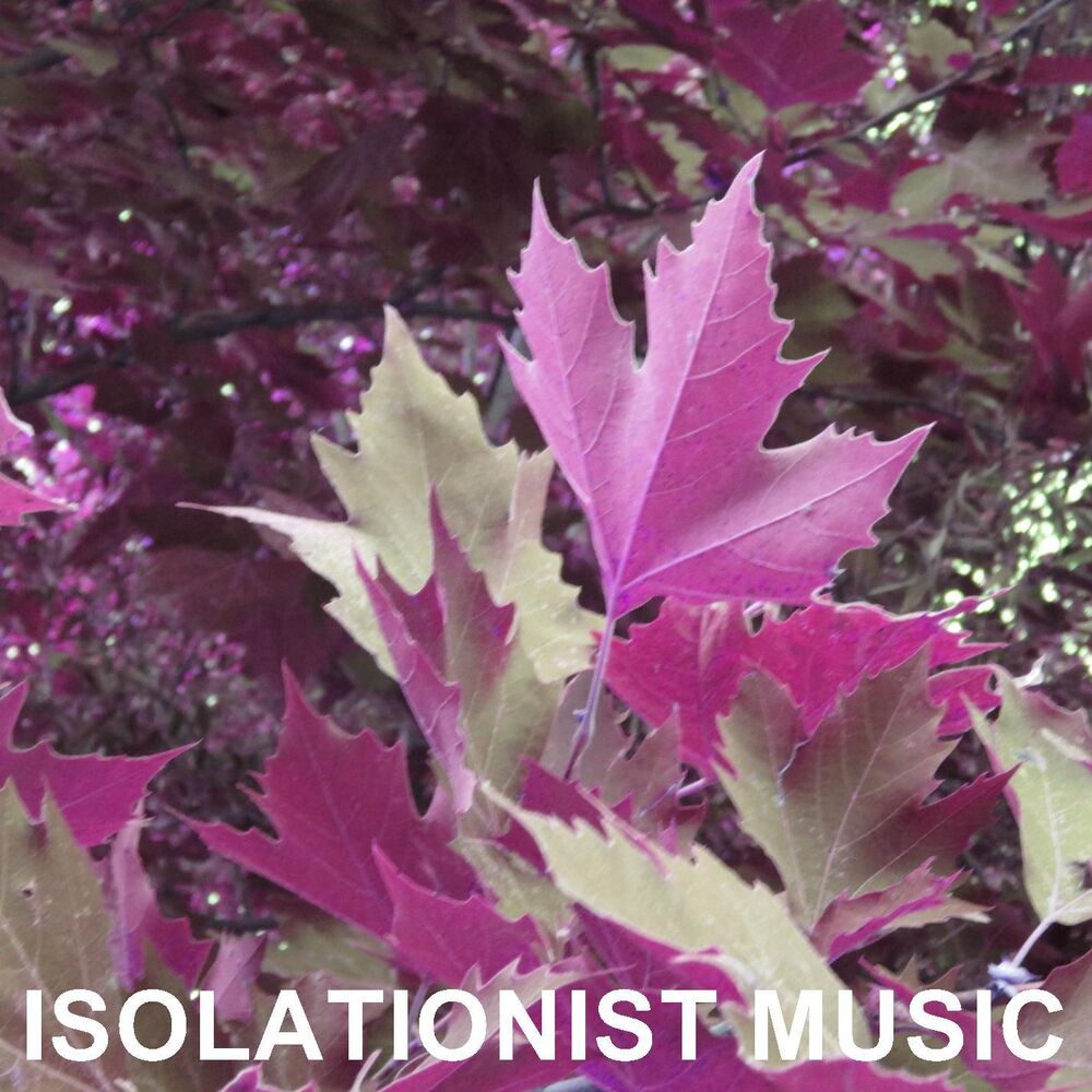 Picture of Isolationist Music
